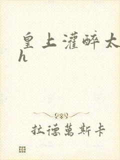 皇上灌醉太子妃h