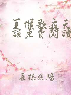 夏倾歌夜天承小说免费阅读
