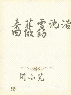 秦菲雪沈浩第几回做的