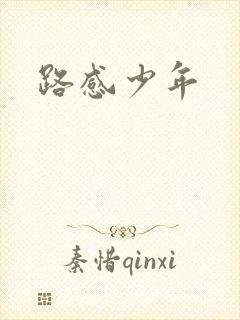 路感少年