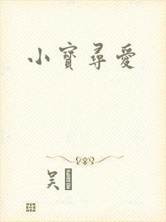 小宝寻爱