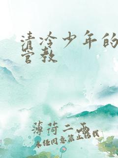 清冷少年的严厉管教