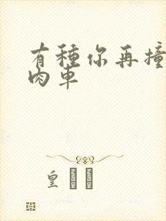 有种你再撞一下肉车