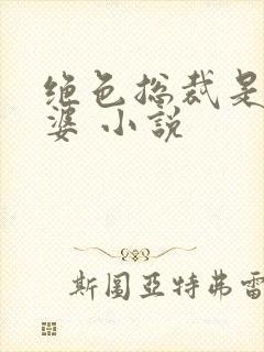 绝色总裁是我老婆 小说