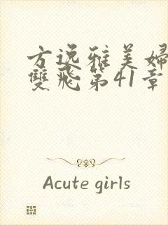 方逸雅美妇厨房双飞第41章