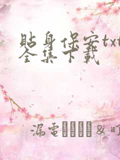 贴身保安txt全集下载