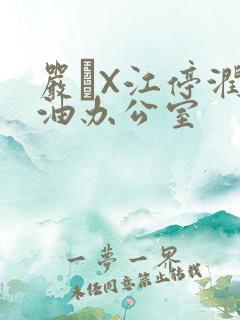 严峫X江停润滑油办公室