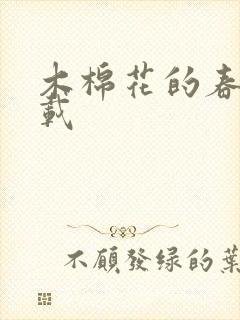 木棉花的春天下载