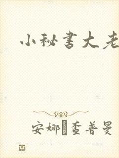 小秘书大老婆