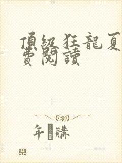 顶级狂龙夏天免费阅读