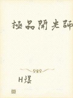 极品开光师阅读