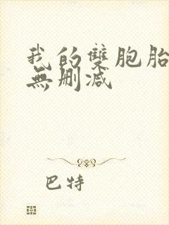 我的双胞胎老婆无删减