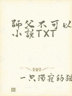 师父不可以灵犀小说TXT