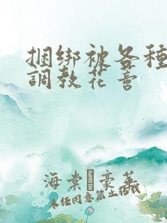 捆绑被各种工具调教花蒂