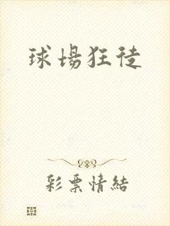 球场狂徒