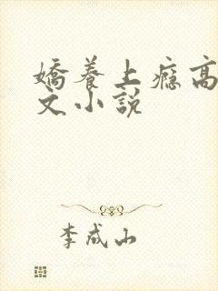 娇养上瘾高H爽文小说