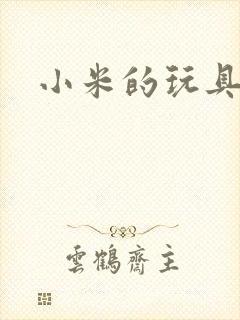 小米的玩具日记