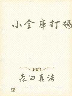 小金库打码平台