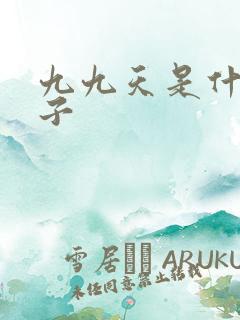 九九天是什么日子