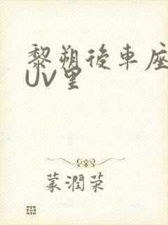 黎朔后车座上SUV里