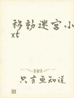 移动迷宫小说txt