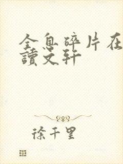 全息碎片在线阅读文轩