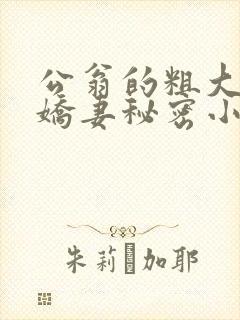 公翁的粗大放进娇妻秘密小说