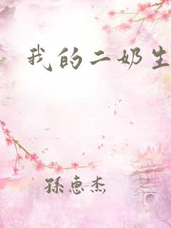 我的二奶生涯