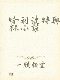 哈利波特与火焰杯小说