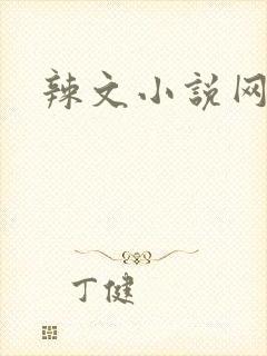 辣文小说网