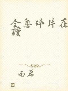 全息碎片在线阅读