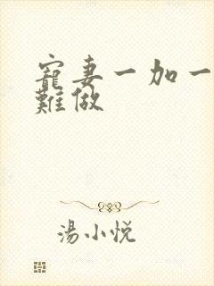 宠妻一加一老婆难做