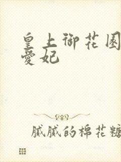 皇上御花园中要爱妃