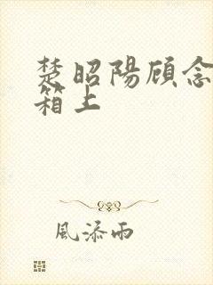 楚昭阳顾念在冰箱上