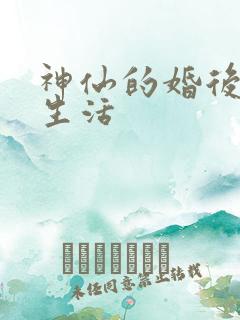 神仙的婚后都市生活
