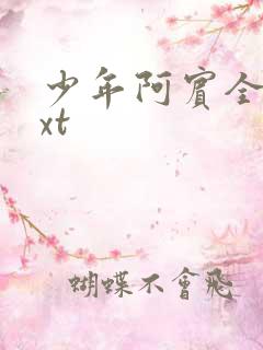 少年阿宾全集txt