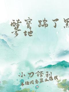 酷宝 踹了黑道爹地