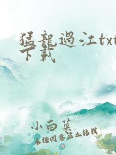 猛龙过江txt下载