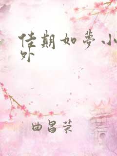 佳期如梦小说番外