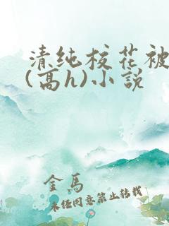 清纯校花被调教(高h)小说