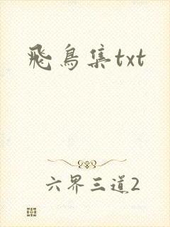 飞鸟集txt