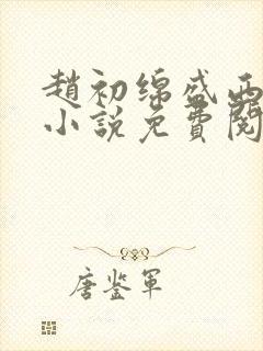 赵初绵盛西舫的小说免费阅读