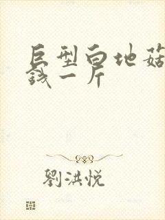 巨型白地菇多少钱一斤