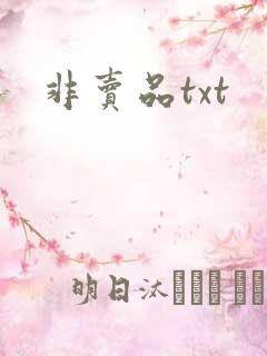 非卖品txt