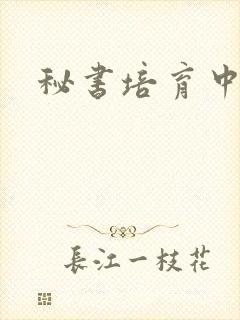 秘书培育中
