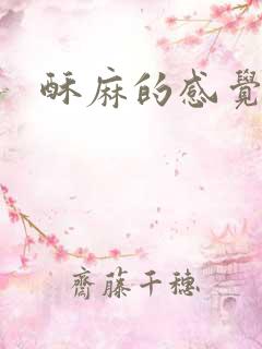 酥麻的感觉小说