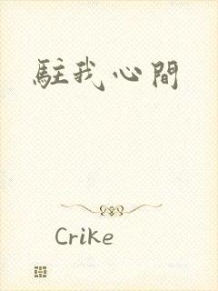 驻我心间