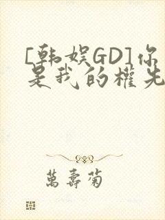 [韩娱GD]你是我的权先生