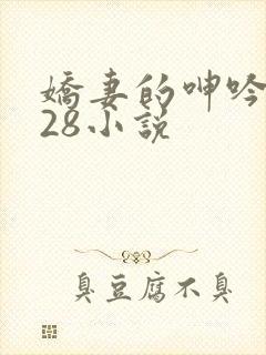 娇妻的呻吟1—28小说