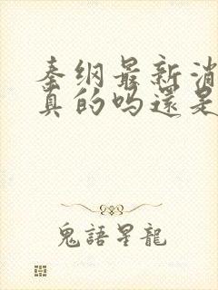 秦纲最新消息是真的吗还是假的